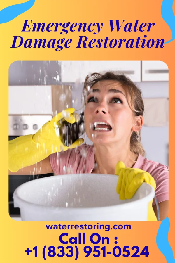 Emergency Water Damage Restoration in Prospect, NC