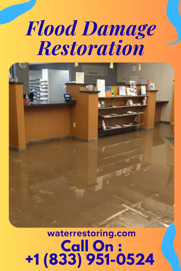 Flood Damage Restoration in Prospect, NC