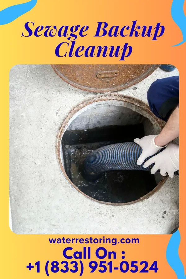 Sewage Backup Cleanup in Prospect, NC