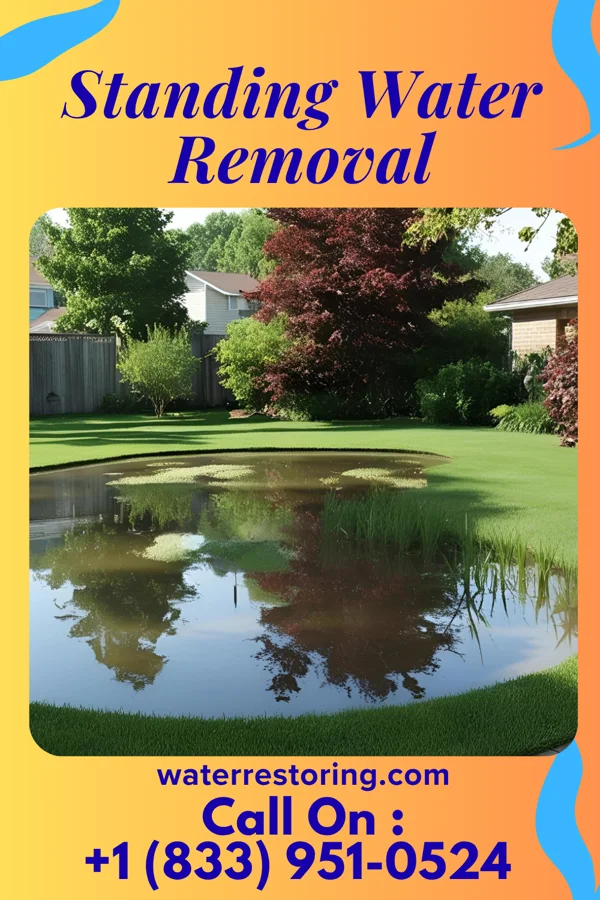 Standing Water Removal in Prospect, NC